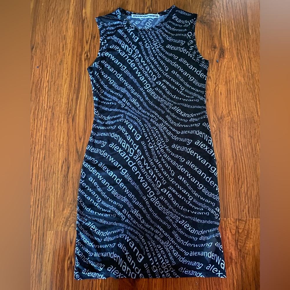 Alexander Wang Mesh Dress